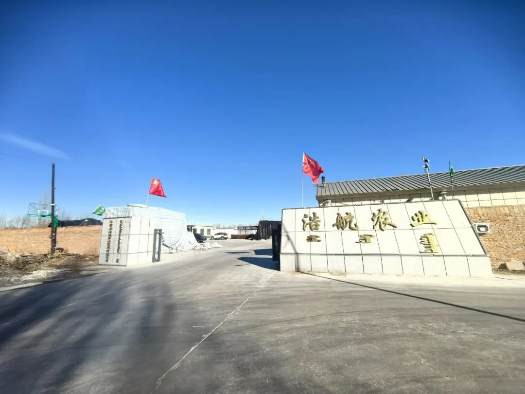乡镇动态-林西县人民政府
