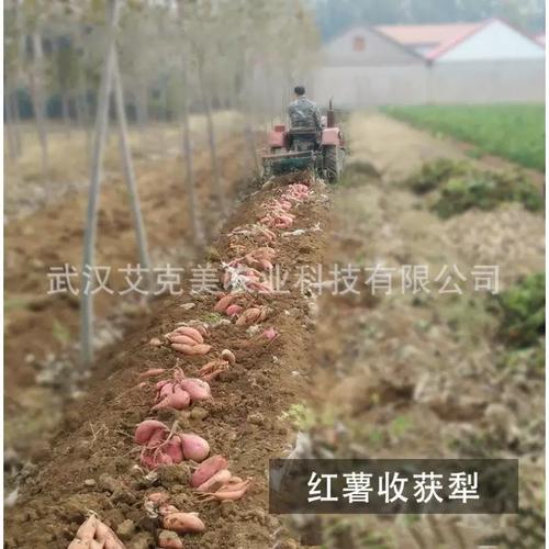 18-5用0匹拖拉机红薯地瓜dhq收豆获犁薯类收机农红获薯土收获机